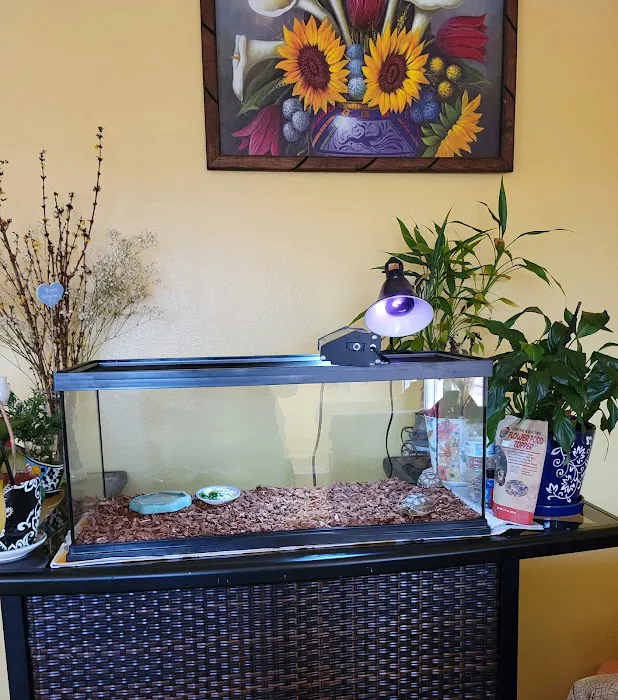 Wow Fish and Pet ( Aquarium ) Picture 1