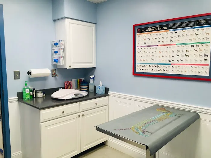 Dumfries Animal Hospital Picture 1