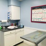 Dumfries Animal Hospital