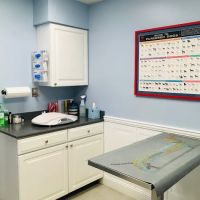 Dumfries Animal Hospital ico