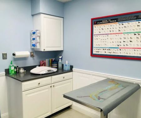 Dumfries Animal Hospital