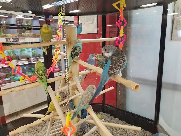 Petco Picture 2