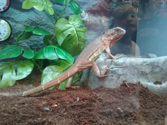 Petco Picture 7