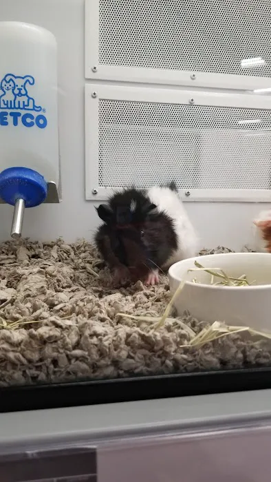 Petco Picture 4