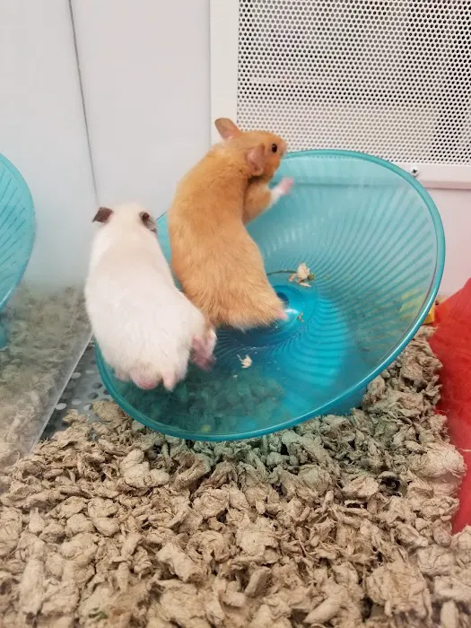 Petco Picture 8