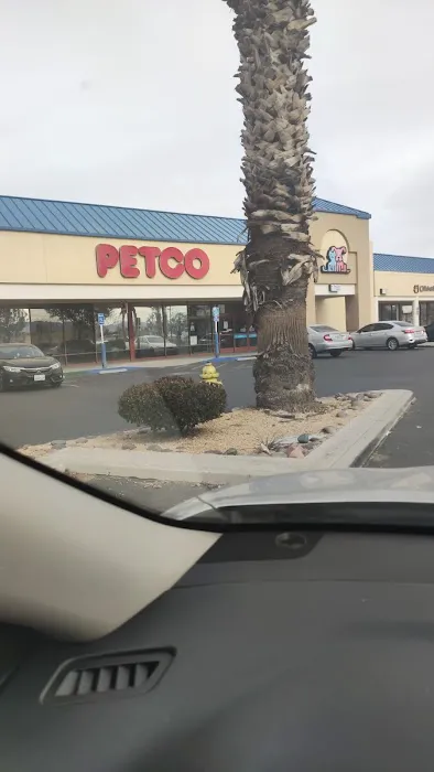 Petco Picture 6