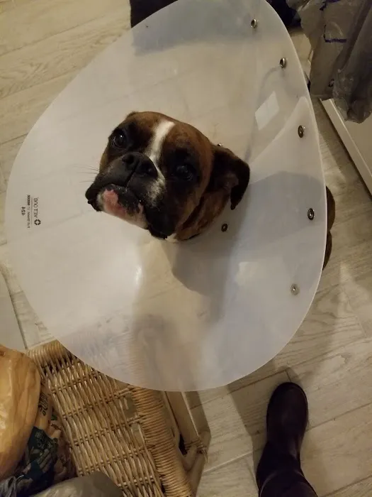 Banfield Pet Hospital Picture 1