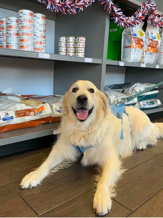 Banfield Pet Hospital Picture 3