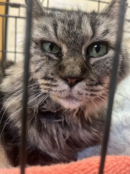 Banfield Pet Hospital Picture 6