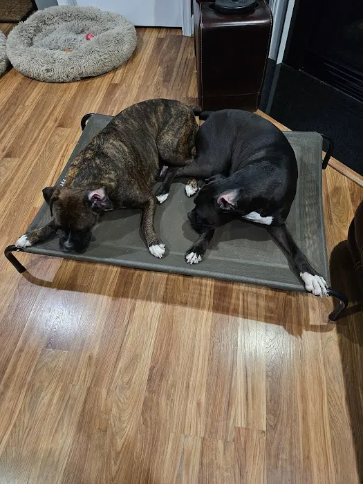Banfield Pet Hospital Picture 5