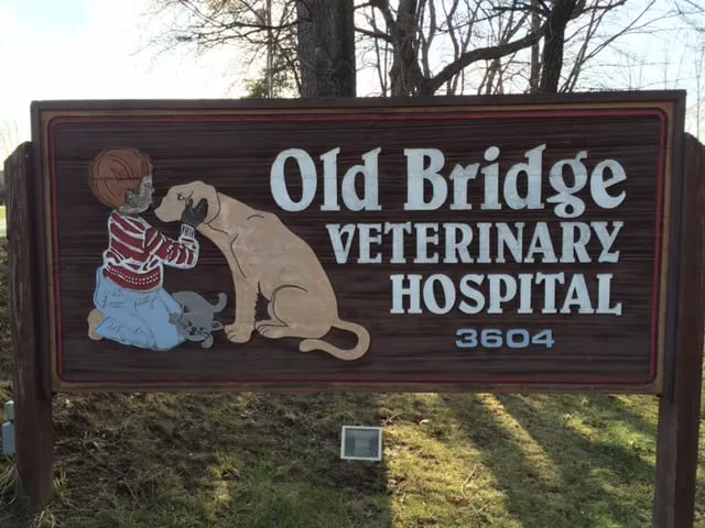 Old Bridge Veterinary Hospital Picture 1