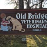 Old Bridge Veterinary Hospital