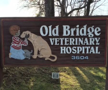 Old Bridge Veterinary Hospital