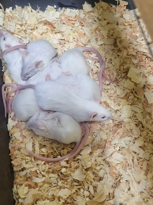 Victor valley pet store Picture 1