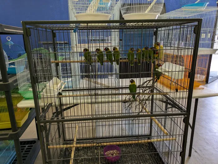 Victor valley pet store Picture 6