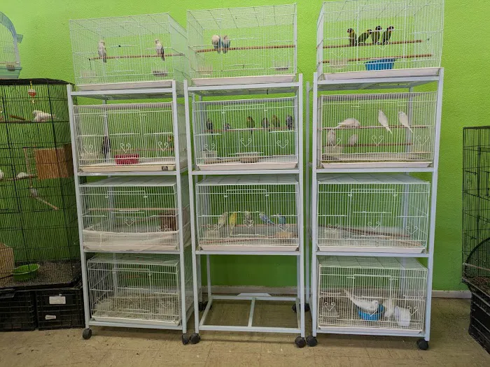 Victor valley pet store Picture 2