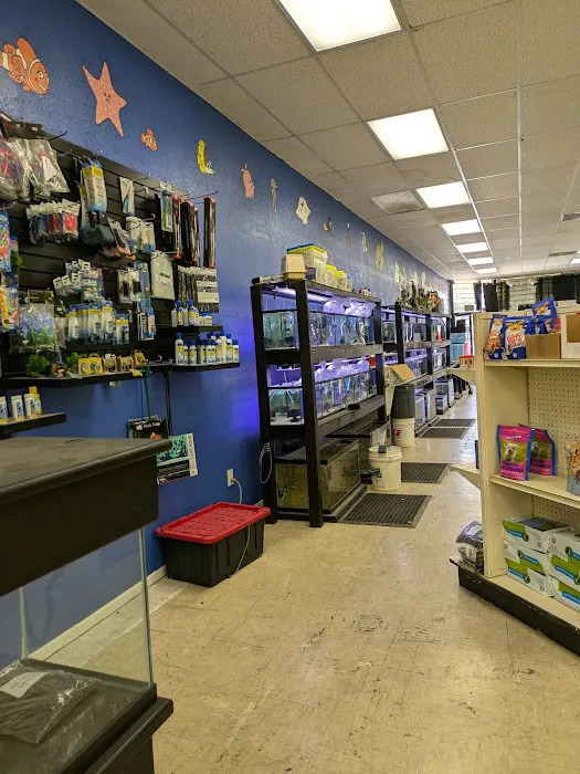 Victor valley pet store Picture 3