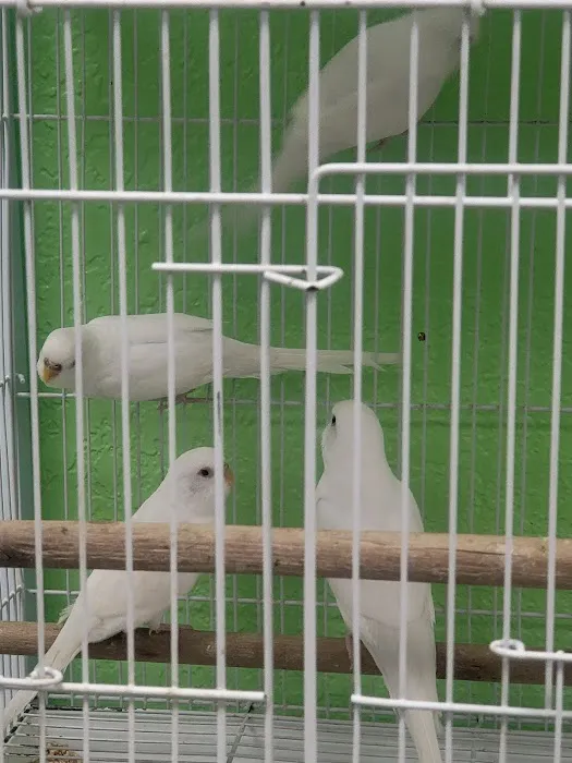 Victor valley pet store Picture 8