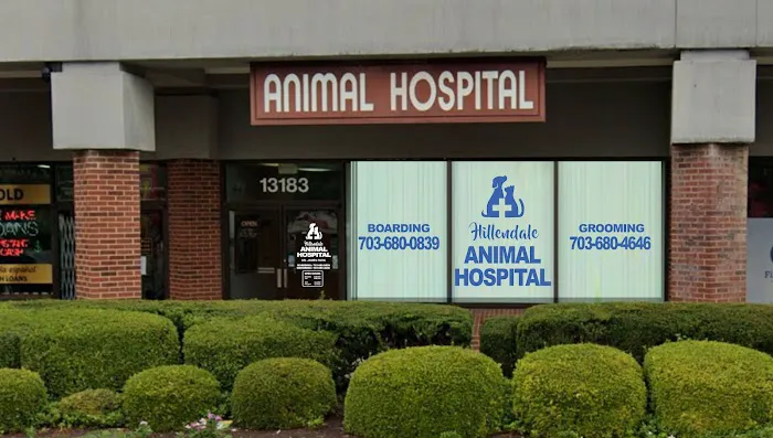 Hillendale Animal Hospital Picture 2