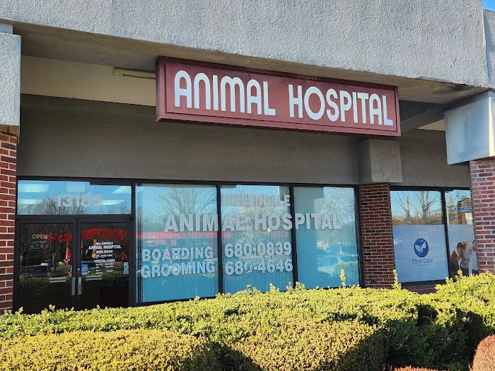 Hillendale Animal Hospital Picture 1