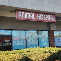 Hillendale Animal Hospital ico