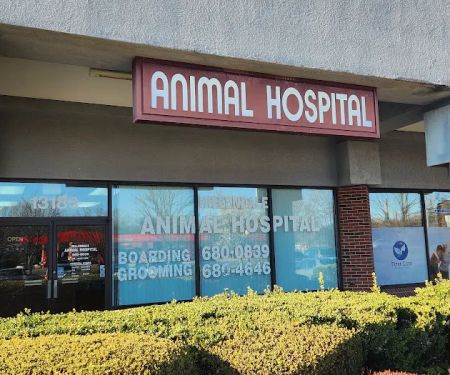 Hillendale Animal Hospital