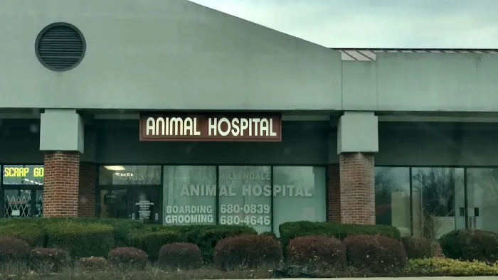 Hillendale Animal Hospital Picture 3