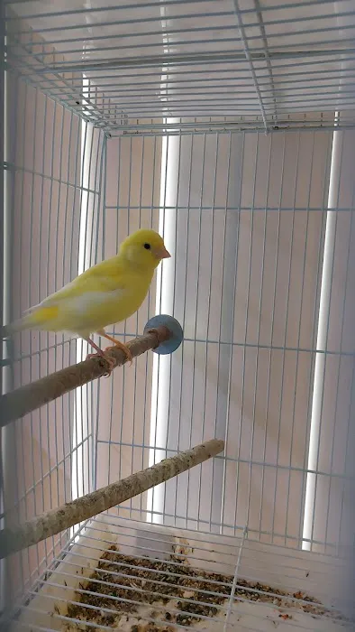 THE PET SHOP Picture 1