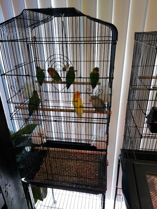 THE PET SHOP Picture 4