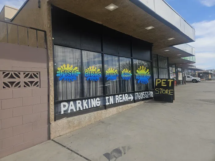 THE PET SHOP Picture 2