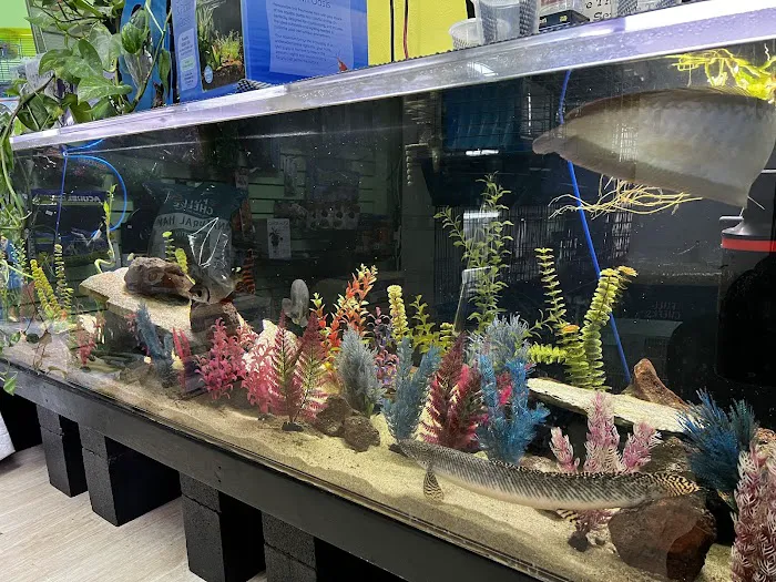 THE PET SHOP Picture 6