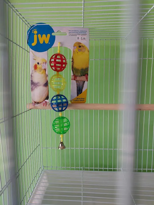 THE PET SHOP Picture 5