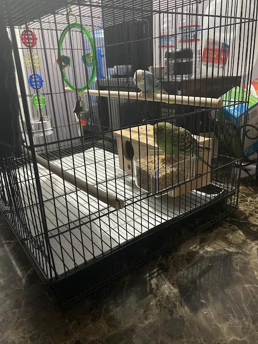 THE PET SHOP Picture 9