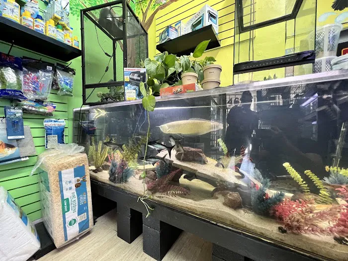 THE PET SHOP Picture 3
