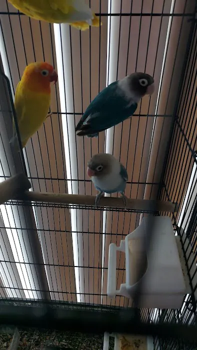 THE PET SHOP Picture 7