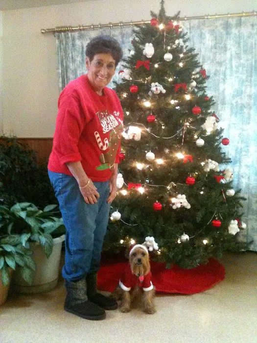 Pleasant Valley Animal Hospital Picture 9
