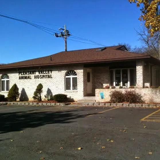 Pleasant Valley Animal Hospital Picture 6