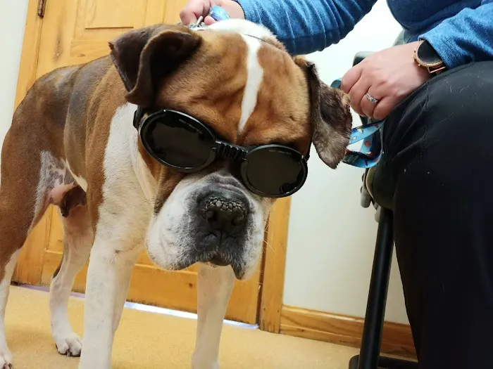 Pleasant Valley Animal Hospital Picture 1