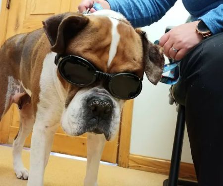Pleasant Valley Animal Hospital