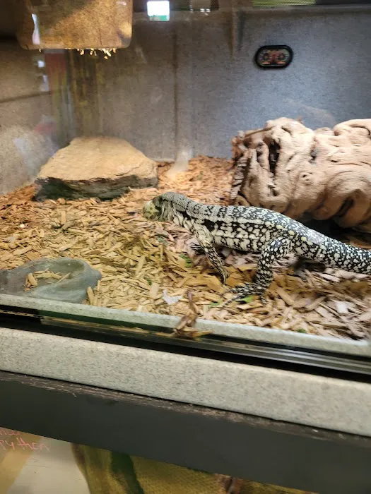 Rog Reptiles Picture 8