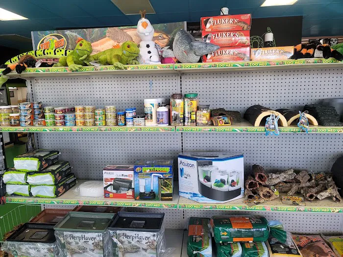 Rog Reptiles Picture 6