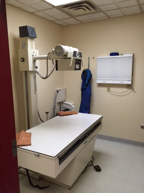 Lakemont Veterinary Clinic, P.C. Picture 4