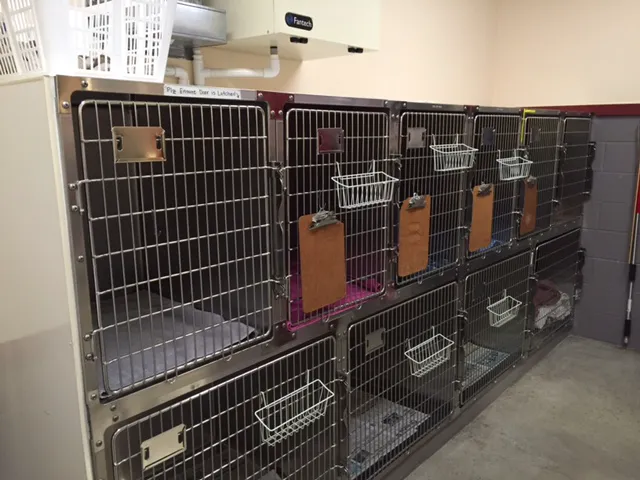 Lakemont Veterinary Clinic, P.C. Picture 6
