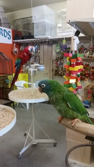 Exotic Birds Unlimited Picture 3