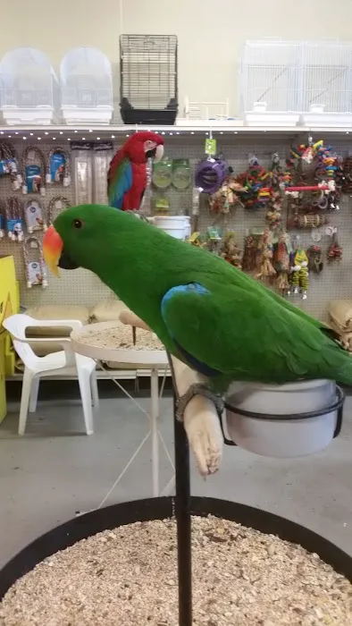 Exotic Birds Unlimited Picture 2