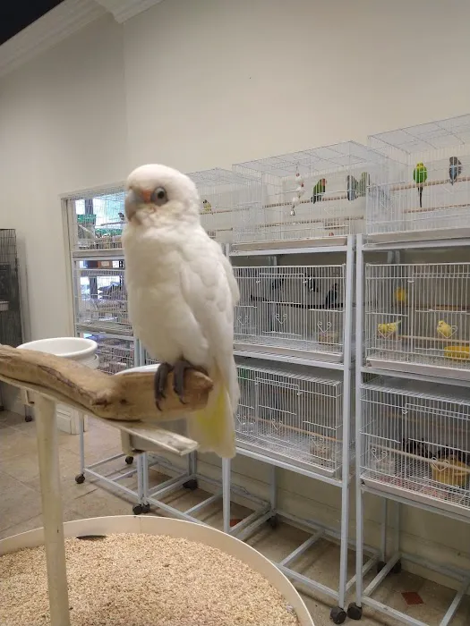 Exotic Birds Unlimited Picture 9