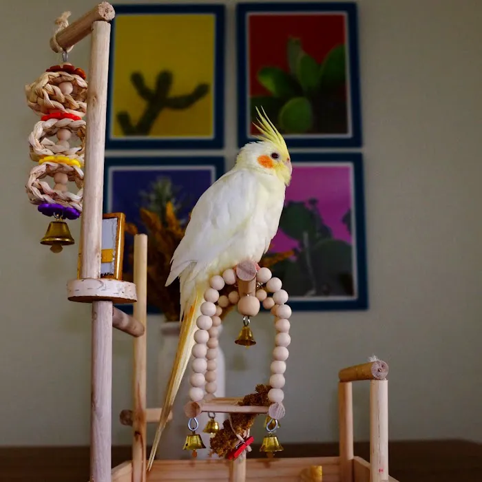 Exotic Birds Unlimited Picture 8