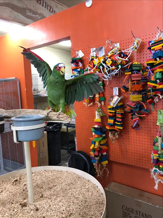 Exotic Birds Unlimited Picture 5