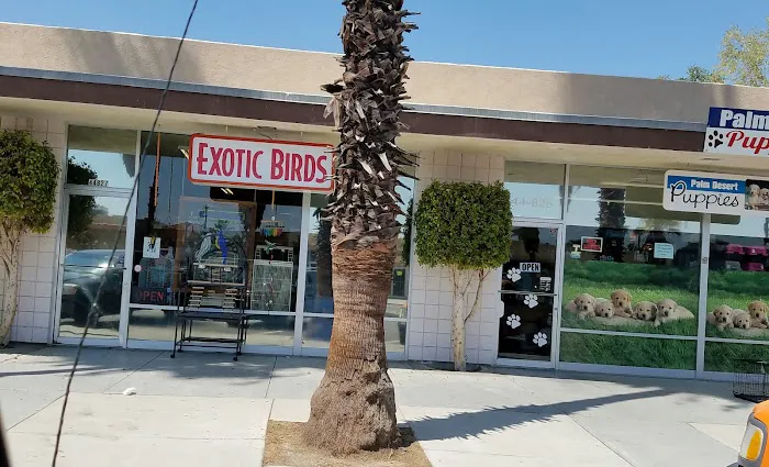 Exotic Birds Unlimited Picture 6