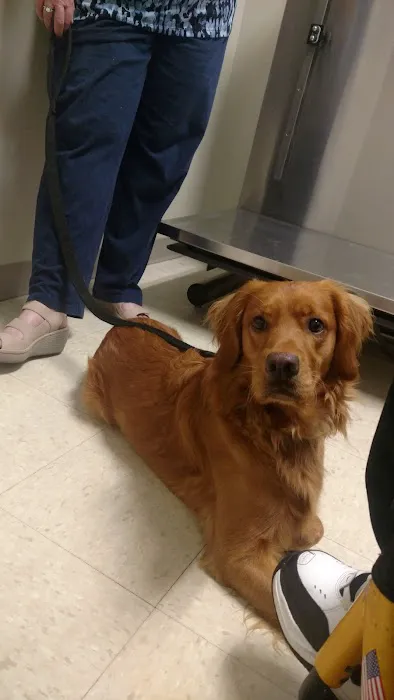 Sylvan Veterinary Hospital Picture 5